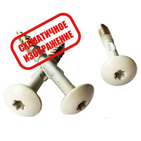 Саморезы Cedral (Кедрал) TORX+WING (по дереву, грибовидная окрашенная шляпка), цвет C06 /1 шт/